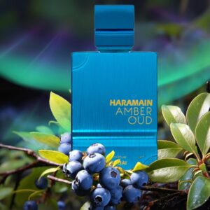 AMBER OUD AQUA DUBAI EDP 100ML (AZUL)